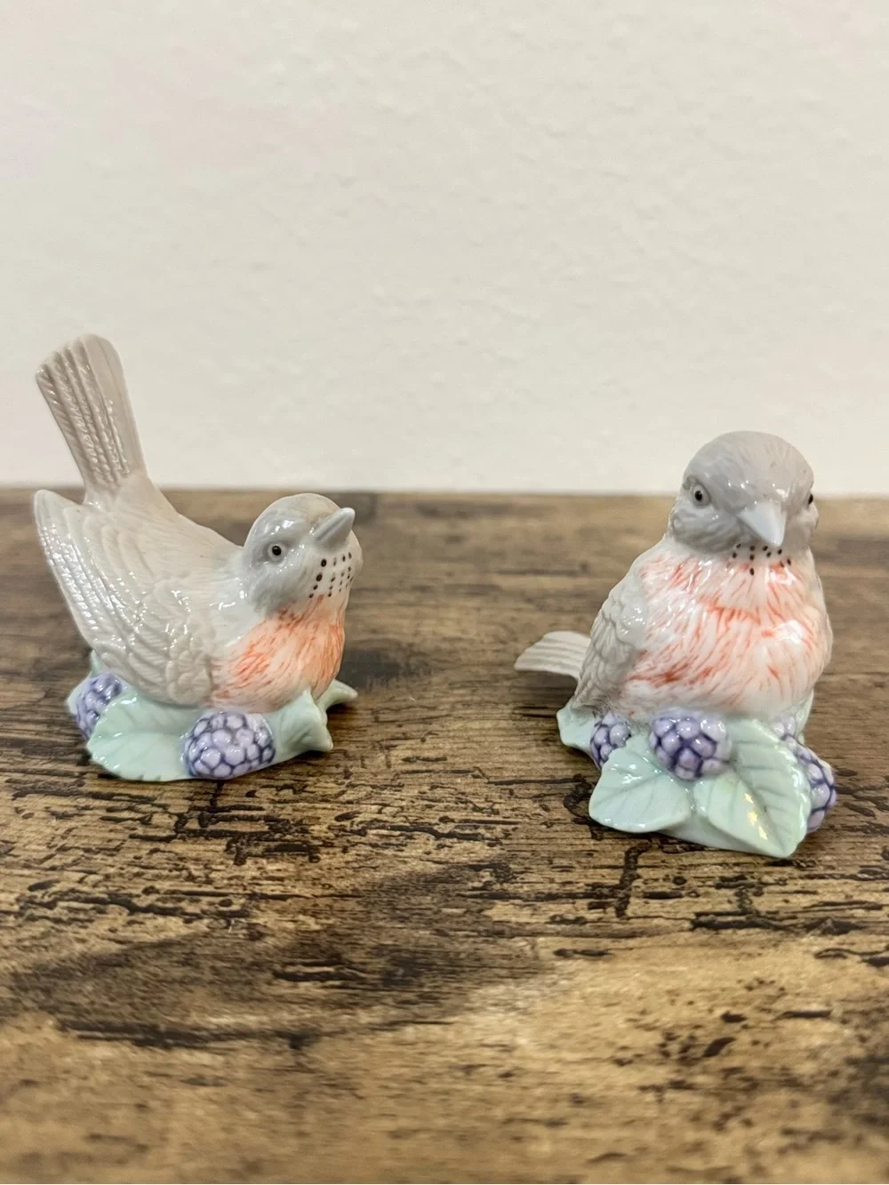 Vintage Bird Salt & Pepper Shakers | Porcelain Floral Berry